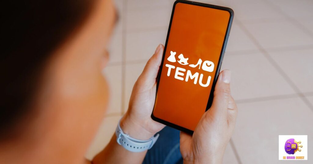 Why Does TEMU Offer Rebates?